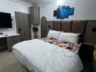 Luxury Studio Apartment — Opebi, Ikeja, Lagos