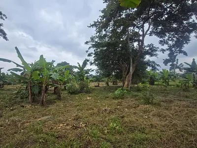 60 Acres of Land — Ibadan, Oyo