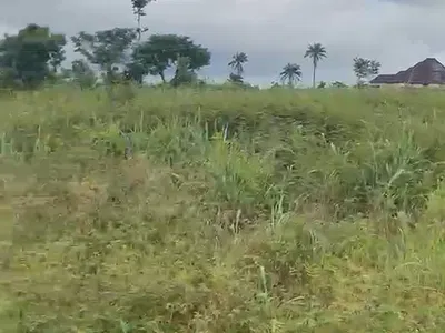 Residential Land — Asaba, Delta