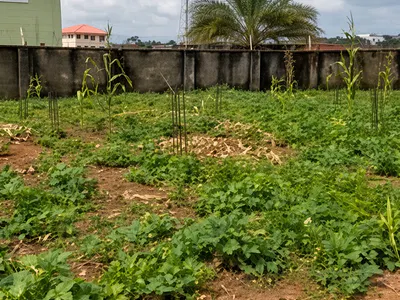 2663SQM Commercial Land — Durumi, Abuja