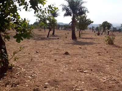 A Serial Undeveloped Residential Land Plot Measuring 750 Each — Sheretti, Kabusa, Abuja