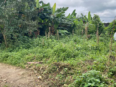 Prime Residential Land — Port Harcourt, Rivers