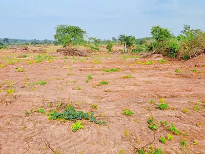 500SQM Residential Land — Nuakh Estate, Enugu, Enugu