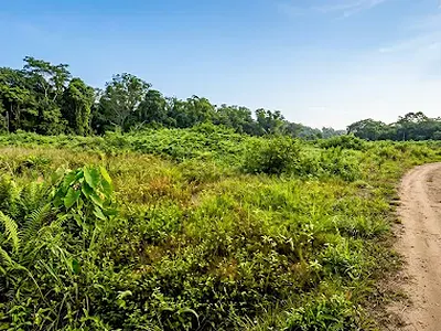 21.40 Acres of Commercial / Farm Land — Ibadan, Oyo