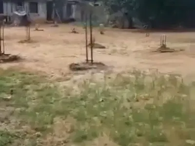 3 Plots of Land — Off Pedro Road, Gbagada, Lagos