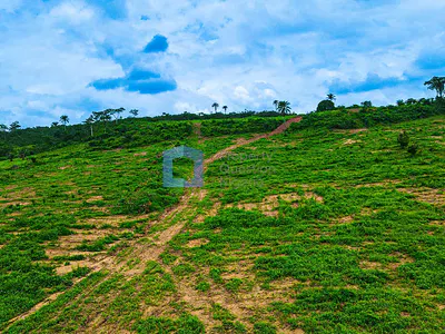 3301SQM Land with C of O — Ikoyi, Lagos