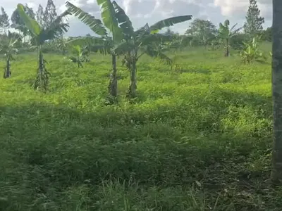 1500 SQM Residential Land — Ibeju Lekki, Lagos