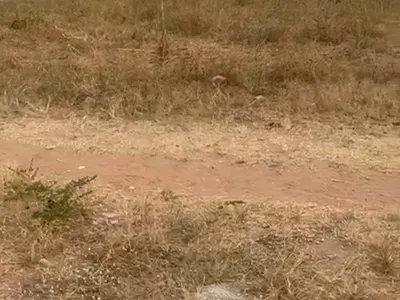 1300SQM Residential Land — By Aduvie, Close to New Road, Jahi, Abuja