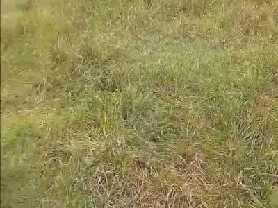 A Prime and Dry Land (300SQM) — Ibeju Lekki, Ibeju, Lagos