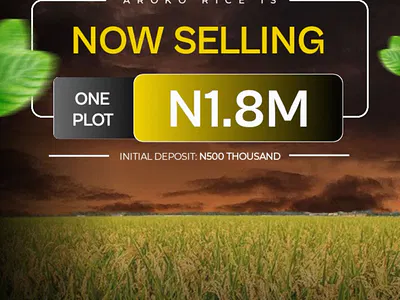 Aroko Rice Farm — Badagry, Lagos