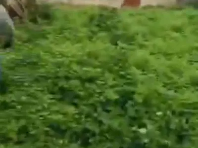 Residential Land Plot — Fadeyi, Yaba, Lagos