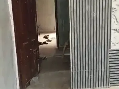 Newly Built 1 Bedroom Downstairs Apartment (Video) — Silverland Estate, Sangotedo, Ajah, Lagos