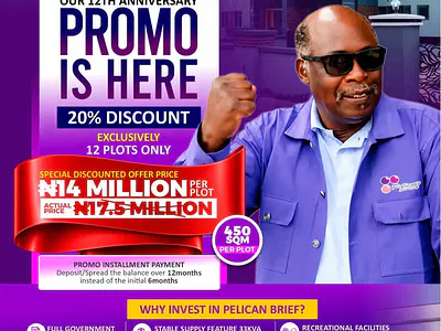 September Anniversary Promo-Exclusive 12 Plots at 20% Off — Pelican Brief Estate, Masa-Kobape Road, Abeokuta South, Ogun