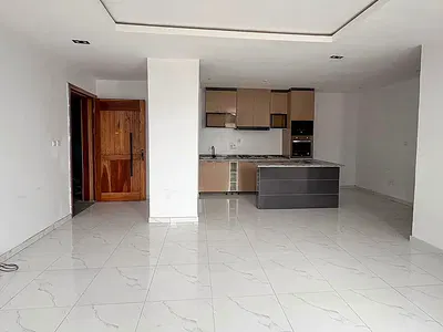 Luxury 2 Bedroom Apartment with Excellent Facilities — Ikate, Lekki, Lagos