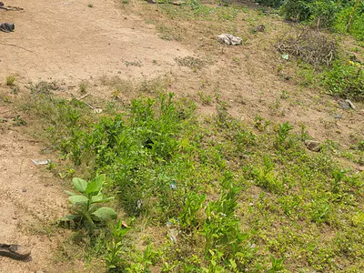 Residential Land — Walbaz Plaza, Dawaki, Gwarinpa, Abuja