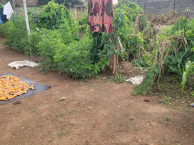 Residential Land — Citizens Avenue, Dawaki, Gwarinpa, Abuja