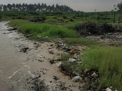 Farm Land — Kondu-Alala Road, Temidire Village, Afon Community, Imeko Afon, Ogun