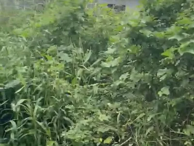 Residential Plot of Land — Joseph Harrison Estate, Onike, Yaba, Lagos
