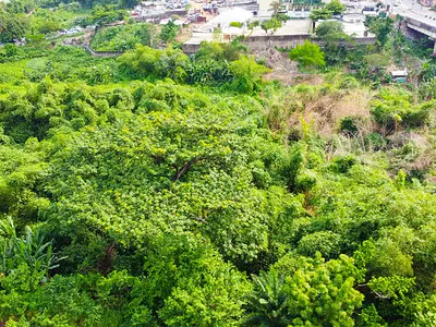 Ikeja Land Size: 4,185SQM Commercial Land — Ikeja, Lagos