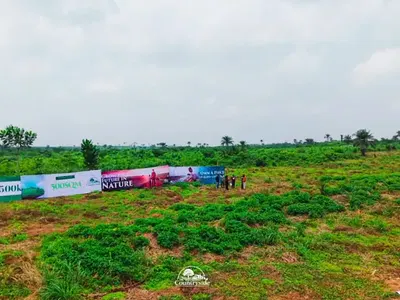 Farmland That Pays You — Countryside Farm with C of O Located Directly Ijagun, Behind Tasued, Ijebu Ode, Ogun