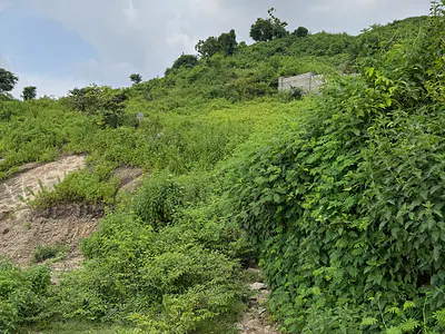 Residential Land Plot — Guzape District, Abuja