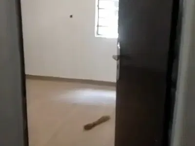 Newly Renovated Spacious Self Contain Apartment — Maitama District, Abuja