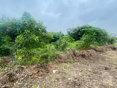 1631 SQM of Land in a Fast Developing Estate — Ajayi Apata, Sangotedo, Ajah, Lagos