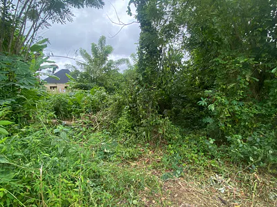 Residential Land Plots — Igbatoro Road, Akure, Ondo