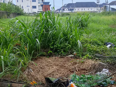 Strategic 1760 SQM Plot with Approval — Opposite Atlantic Mall Chevron Drive, Lekki, Lagos
