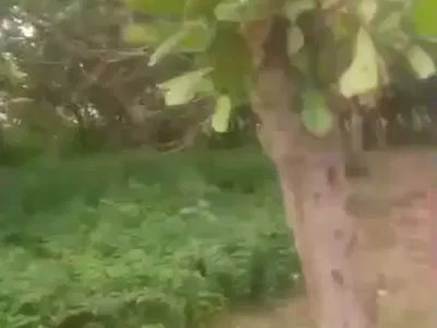 1950 SQM of Land — New Gishiri/Maitama Expressway, Maitama District, Abuja