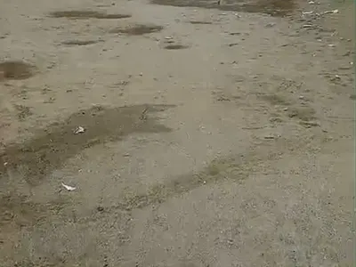 1, 263SQM Corner Piece Dry Land — Lekki, Lagos