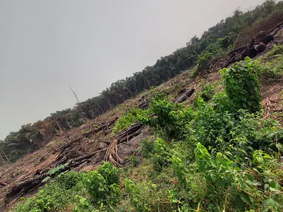40 Acres of Dry Land for Mixed Use — Epe, Lagos