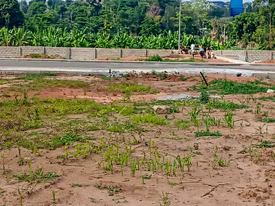 1000SQM Residential Land — Maitama District, Abuja