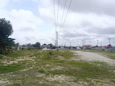 118 Dry Land Plots for Development — Shapati, Beside Beachwood Estate, Ibeju Lekki, Lagos