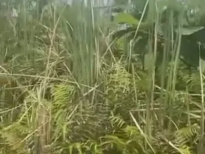 600SQM Residential Land — Lekki, Lagos