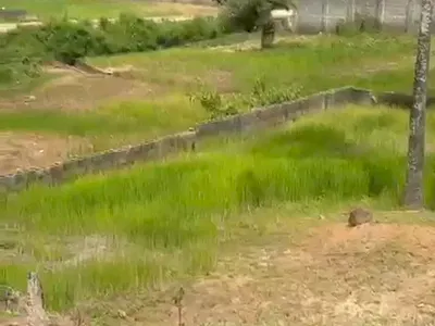 Residential Land Plot — By H-Medix Phamercy, Guzape District, Abuja