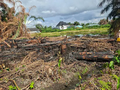 Hottest Distressed 500SQM Plot of Land — Ibeju Lekki, Lagos