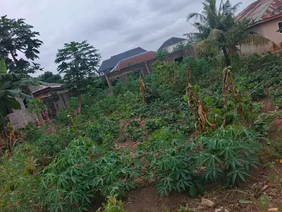 Standard Half Plot of Land — Safu Estate, Off Ishefun Road, Ayobo, Lagos