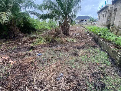 Residential Half Plot of Dry Land — Ogombo, Ajah, Lagos