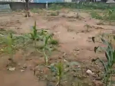 1, 882 SQM, Residential Land, C of O — By Peace Apartment, Jahi, Abuja