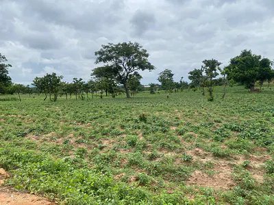 Industrial Land — Idu Industrial, Abuja