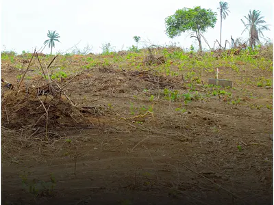 Dry Land — Off Abeokuta Express Way, Obafemi Owode, Ogun