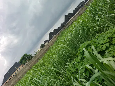 Residential Land Plot — Corporative Estate, Ayobo, Lagos
