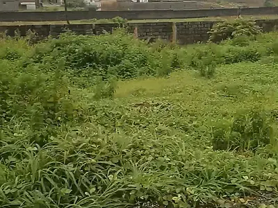 350SQMS Land — Beside Sunnyvale Estate, Galadimawa, Abuja
