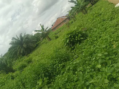 2 Acres Residential Land — Aliri Ifesowapo Estate, Akobo, Ibadan, Oyo