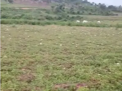 Farm Land Measuring 11.5 Hectares — Kuje, Abuja