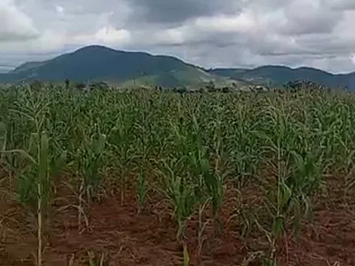 19 Hectares Land — Gaube, Kuje, Abuja