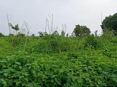 5 Hectares Mixed-Use Land — Chukuku Layout, Kuje, Abuja