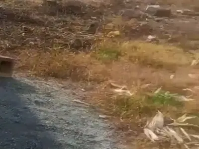 1100SQM Multipurpose Land — Dantata Bridge, Airport Road, Galadimawa, Abuja