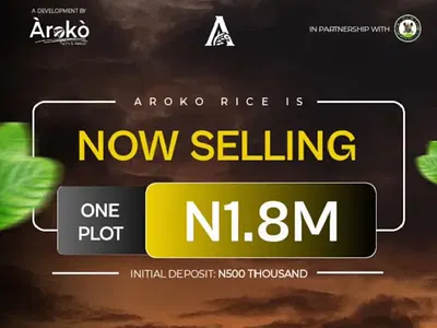 Farm Land for Rice, We Plant, Cultivate and Pay Annually. — Iworo Badagry Lagos, Badagry, Lagos